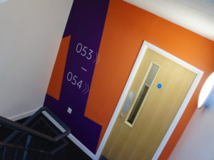 SONY DSC Wall Graphics