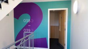 SONY DSC Wall Graphics