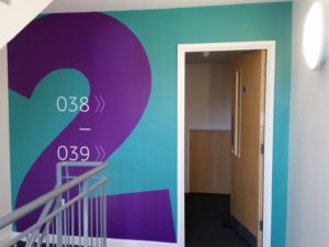 SONY DSC Wall Graphics