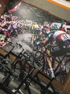 Wall Graphics Gym Portfolio