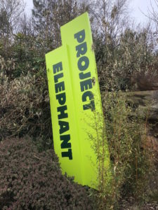 Blackpool Zoo Project Elephant Signage