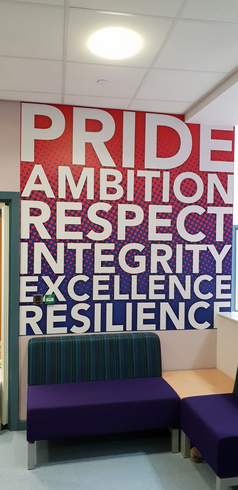 Pride Ambition Respect Integrity Excellence Resilience Wall Graphics