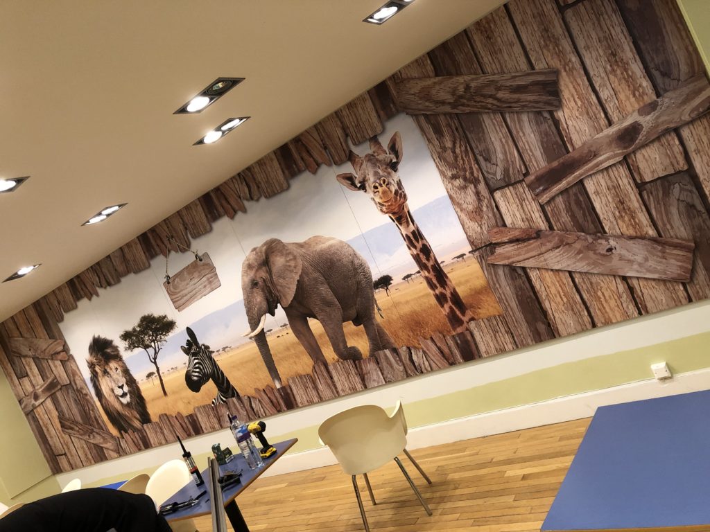 blackpool zoo wall graphics